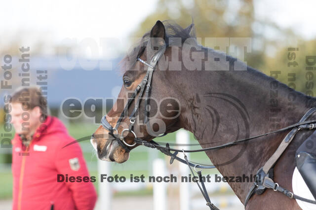 IGV Lehrgang der Sieger der Cups mit Frank Ostholt
