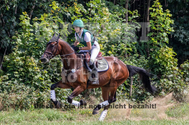 Late-Entry-Vielseitigkeit Gahlen (18.07.2020)