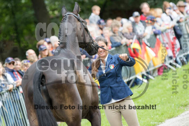 FEI European Championship