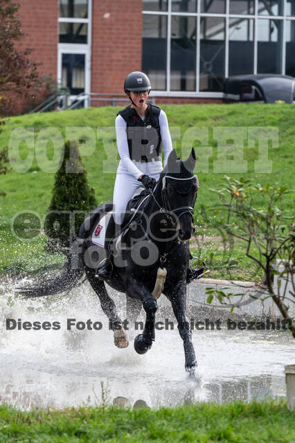 Goldene Schärpe 2020 - Pferde