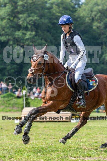 Goldene Schärpe 2021 - Ponys