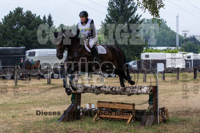 Late-Entry Vielseitigkeit Hamminkeln/Wesel (01.+02.08.2020)