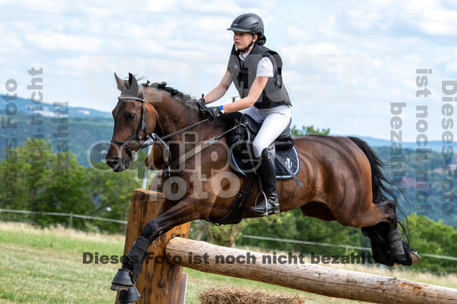Bonn-Rodderberg Late-Entry-Vielseitigkeit (30.06.2020)