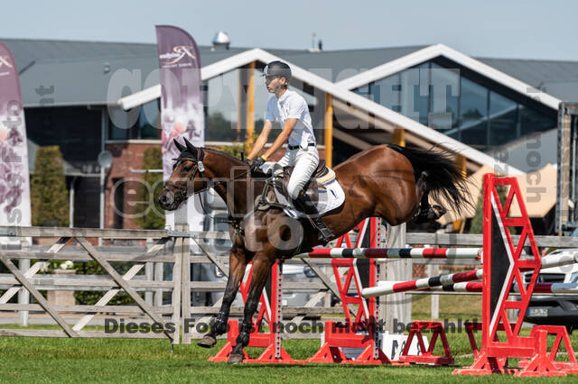 Kronenberg - De Peelbergen (August 2020)