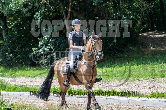 Late-Entry-Vielseitigkeit Langenfeld (06.+07.07.2020)