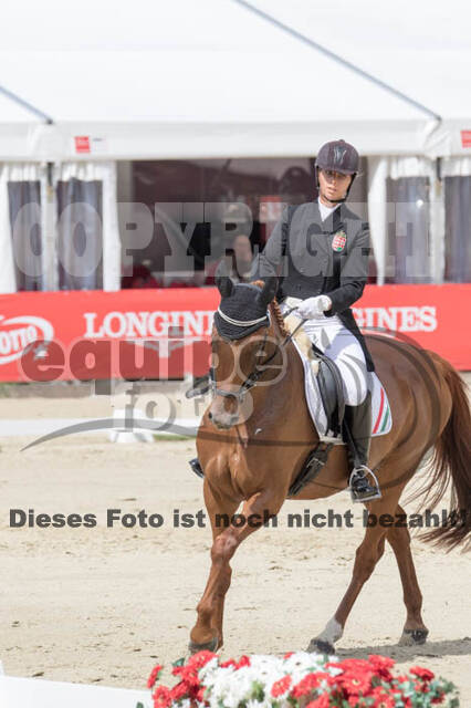 FEI European Championship Eventing 2017