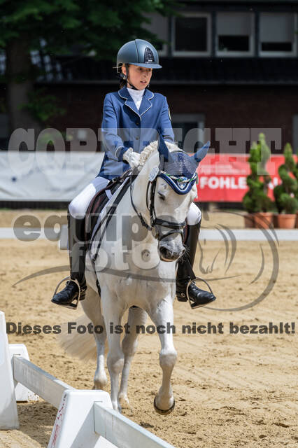 Goldene Schärpe 2021 - Ponys