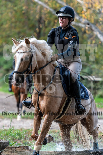 IGV Lehrgang der Sieger der Cups mit Frank Ostholt