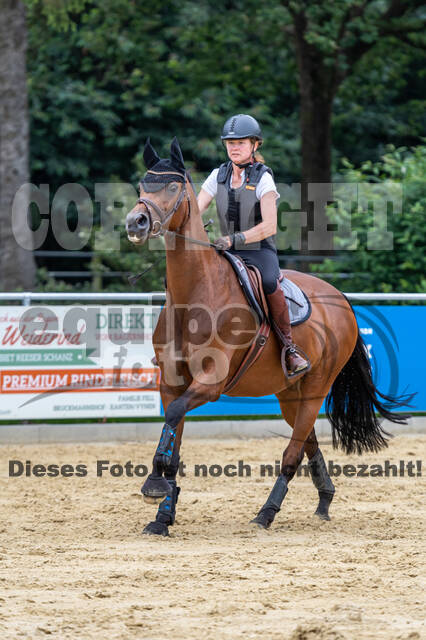 Hunter Geländetraining 10.07.2021 (Sonsbeck)