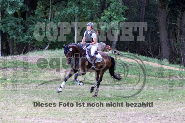 Late-Entry Vielseitigkeit Hamminkeln/Wesel (01.+02.08.2020)