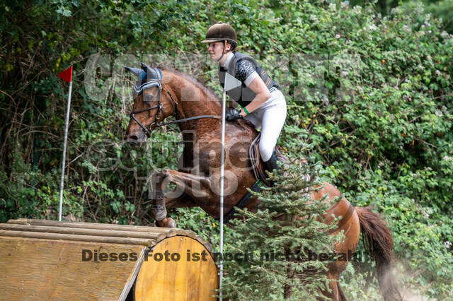 Late-Entry-Vielseitigkeit Langenfeld (11.+13./14.06.2020)