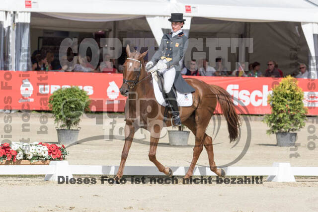 FEI European Championship Eventing 2017