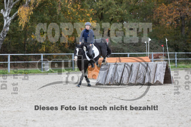 IGV Lehrgang der Sieger der Cups mit Frank Ostholt