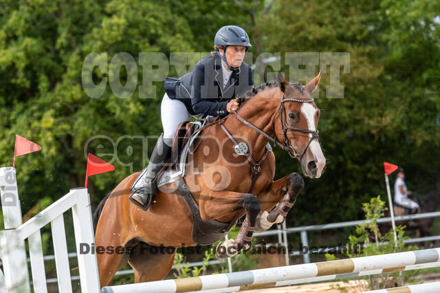 Landesturnier Rheinland, Vielseitigkeit, 22.+23.08.2020