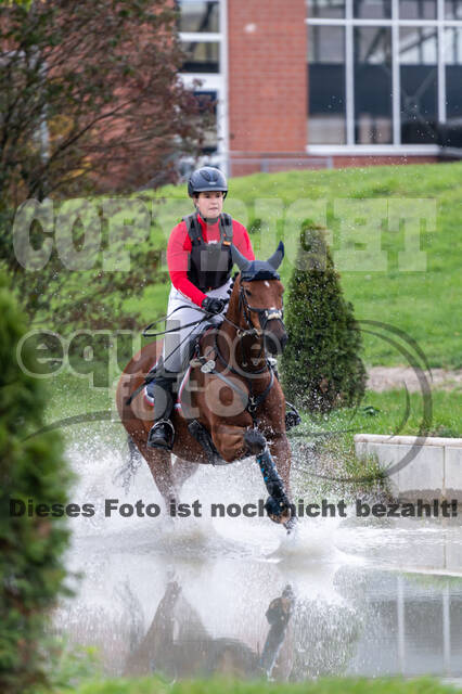 Goldene Schärpe 2020 - Pferde