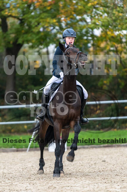 Reiter Schleswig-Holstein