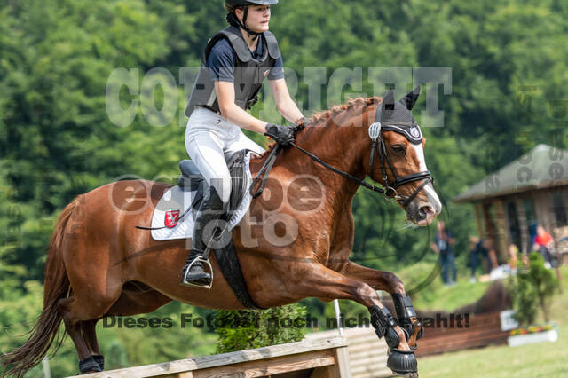 Goldene Schärpe 2021 - Ponys