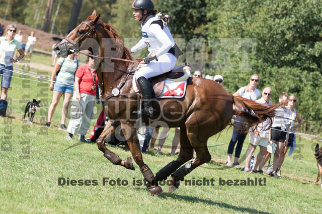 FEI European Championship Eventing 2019