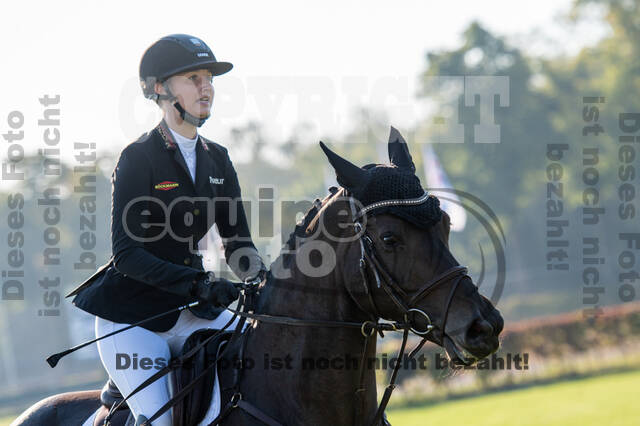 De Peelbergen (August 2020)