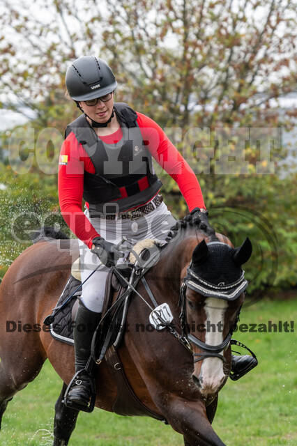 Goldene Schärpe 2020 - Pferde