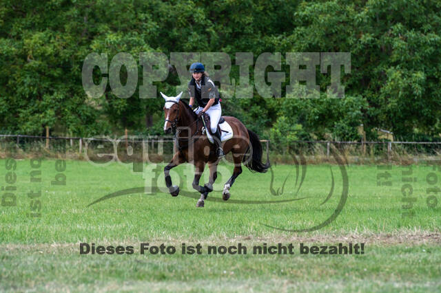Bonn-Rodderberg Late-Entry-Vielseitigkeit (30.06.2020)
