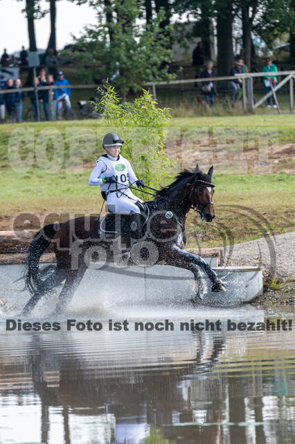 Deutsche Meisterschaft Vielseitigkeit (Luhmühlen)