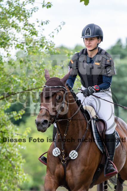Bonn-Rodderberg Late-Entry-Vielseitigkeit (30.06.2020)