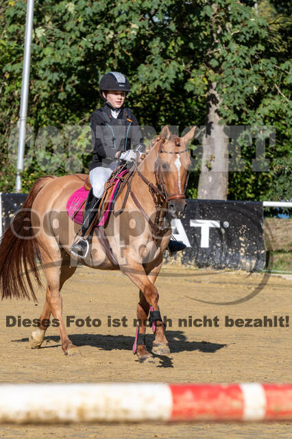 RFV Dinslaken-Hiesfeld (Herbstturnier)