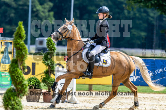 Goldene Schärpe 2021 - Ponys