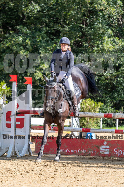 RFV Dinslaken-Hiesfeld (Herbstturnier)