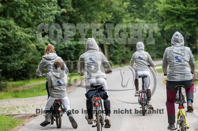Goldene Schärpe 2021 - Ponys