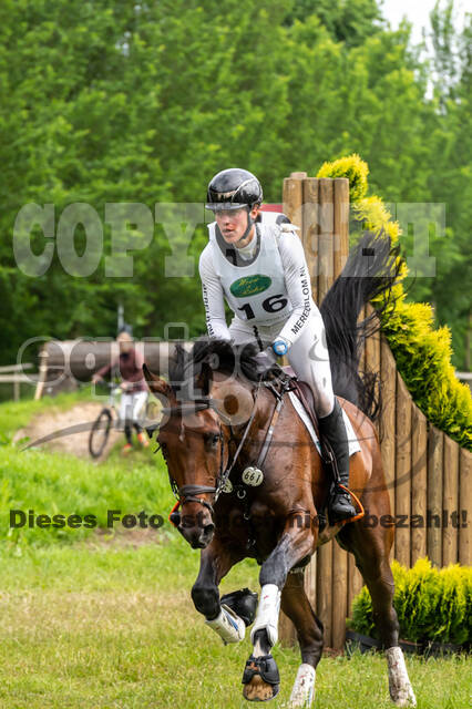 Westerstede Horse Trials 2021