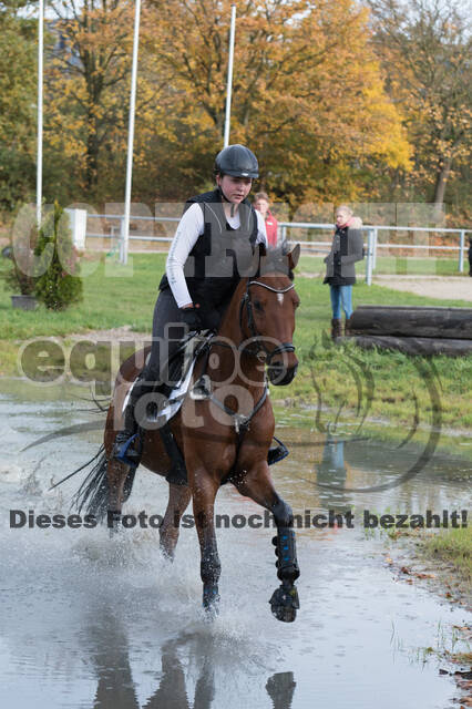 IGV Lehrgang der Sieger der Cups mit Frank Ostholt