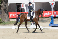 FEI European Championship Eventing 2017