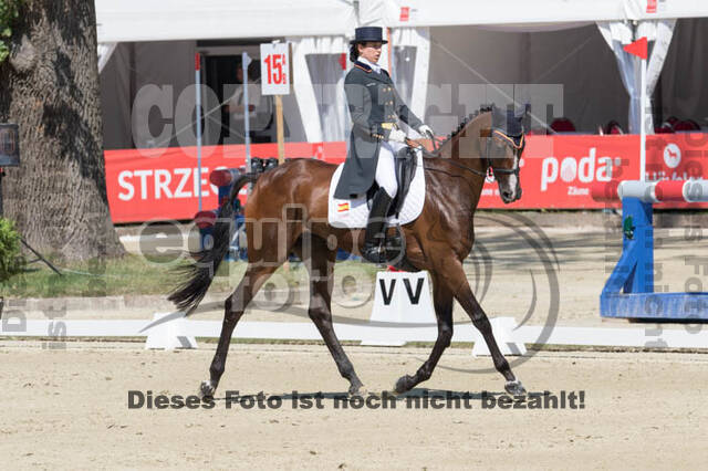 FEI European Championship Eventing 2017