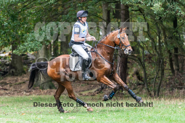 Vielseitigkeit RSV Wesel Obrighoven (26.+27.09.2020)