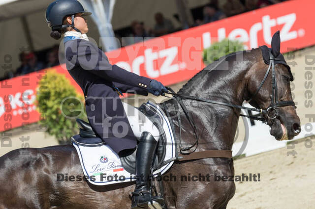 FEI European Championship