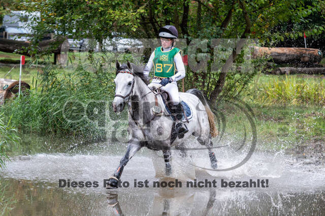 Vielseitigkeit RSV Wesel Obrighoven (26.+27.09.2020)