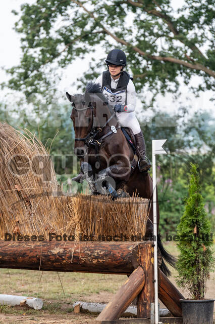 De Peelbergen (August 2020)