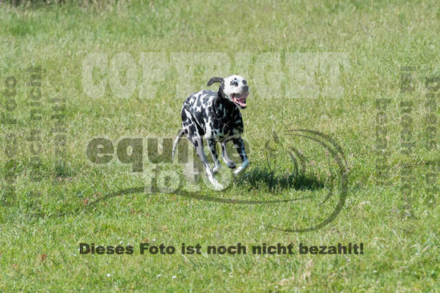 Tholi-Tour Lehrgang Vanessa Bölting