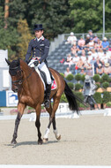 FEI European Championship Eventing 2019