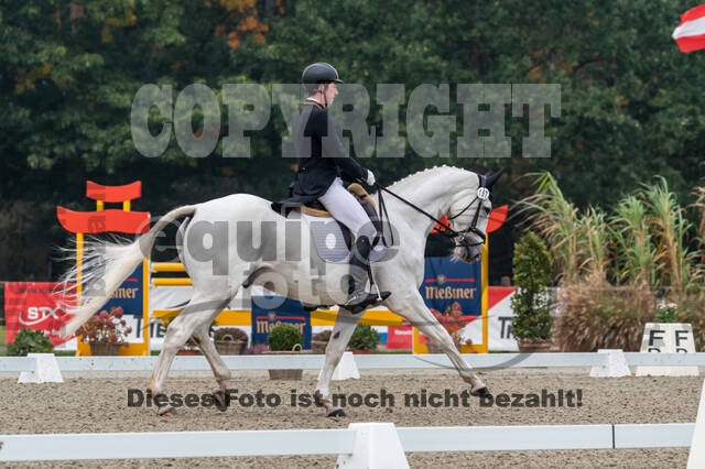 Deutsche Meisterschaft Vielseitigkeit (Luhmühlen)