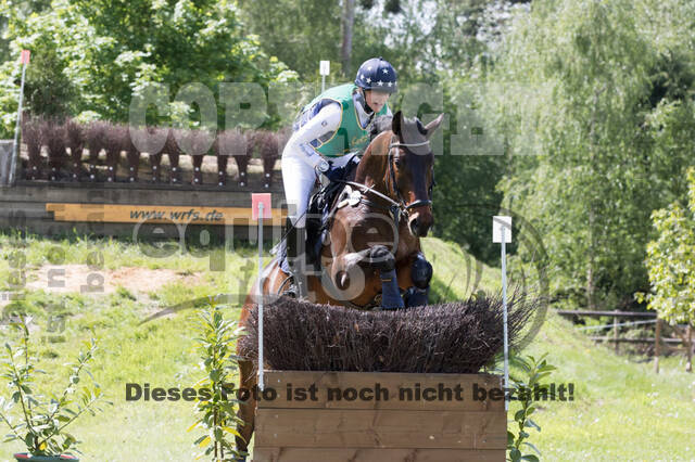 Sterne über Münster 2019 - CCI***S