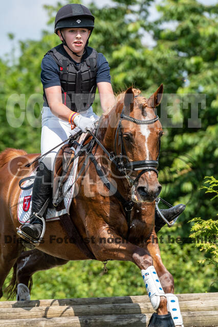 Goldene Schärpe 2021 - Ponys