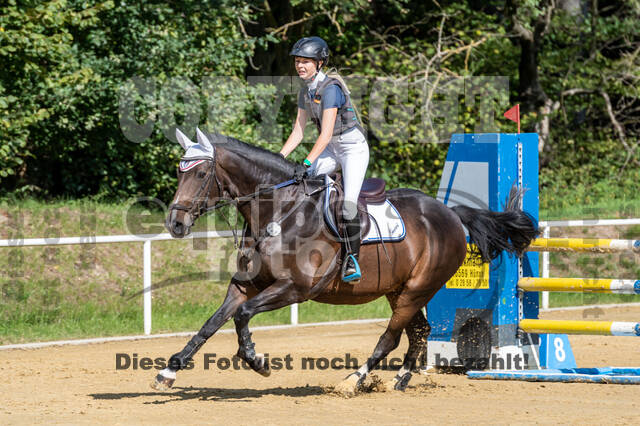 RFV Dinslaken-Hiesfeld (Herbstturnier)
