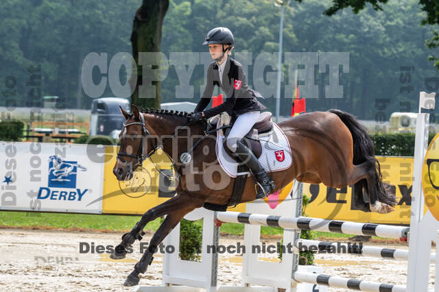 Goldene Schärpe 2021 - Ponys