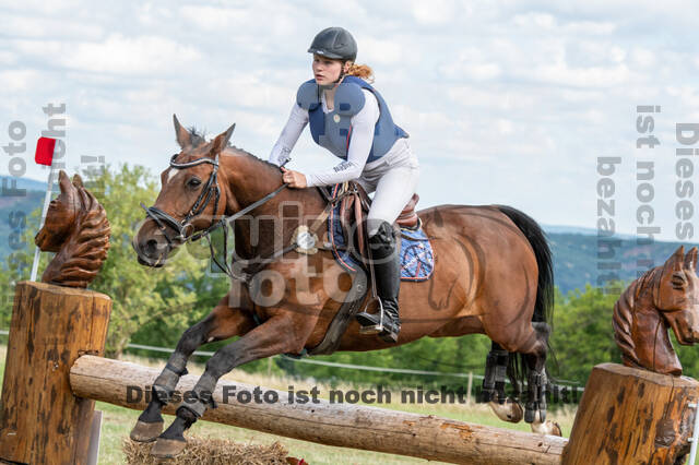 Bonn-Rodderberg Late-Entry-Vielseitigkeit (30.06.2020)