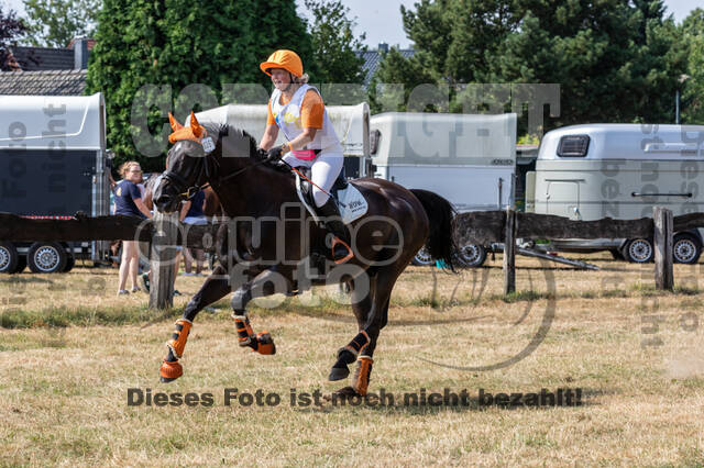 Late-Entry Vielseitigkeit Hamminkeln/Wesel (01.+02.08.2020)