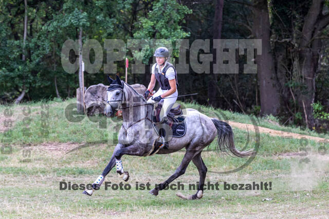 Late-Entry Vielseitigkeit Hamminkeln/Wesel (01.+02.08.2020)