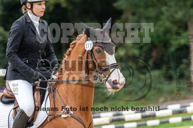 Vielseitigkeit RSV Wesel Obrighoven (26.+27.09.2020)